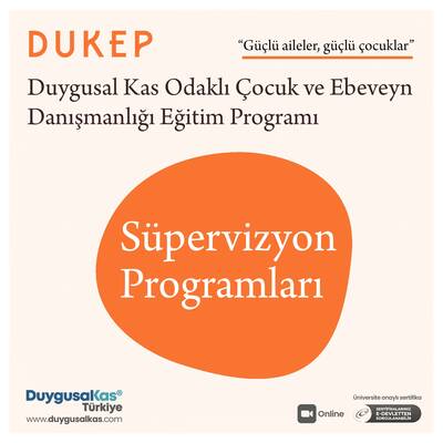 3.DUKEP Süpervizyon Programları