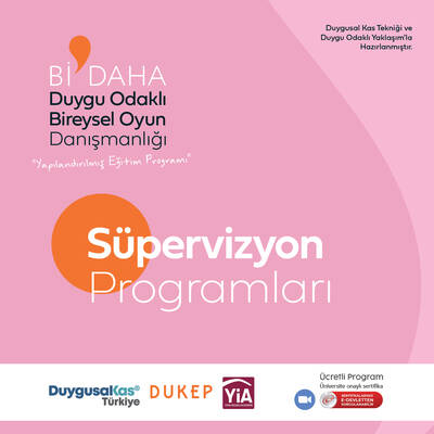 Bİ DAHA Eğitim Programı- Süpervizyon